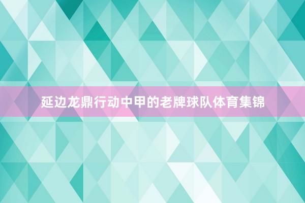 延边龙鼎行动中甲的老牌球队体育集锦