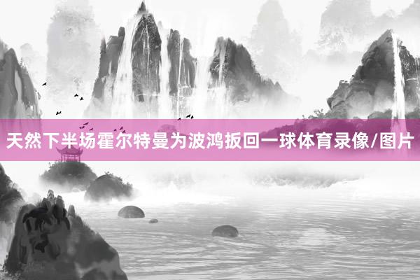 天然下半场霍尔特曼为波鸿扳回一球体育录像/图片