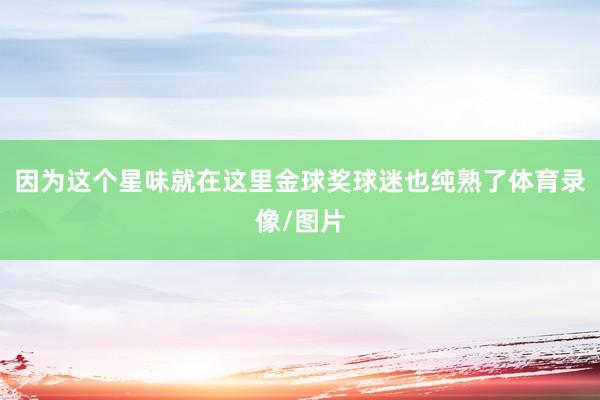 因为这个星味就在这里金球奖球迷也纯熟了体育录像/图片