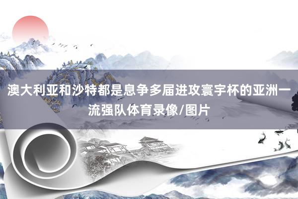 澳大利亚和沙特都是息争多届进攻寰宇杯的亚洲一流强队体育录像/图片