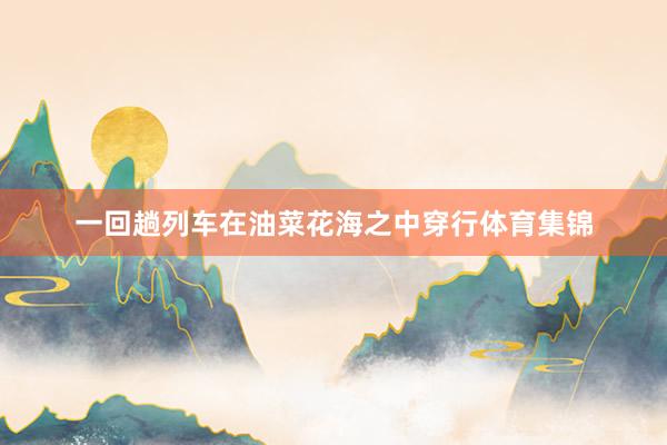 一回趟列车在油菜花海之中穿行体育集锦