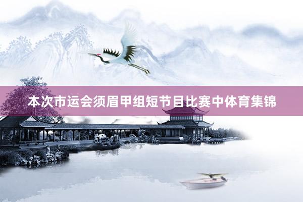 本次市运会须眉甲组短节目比赛中体育集锦