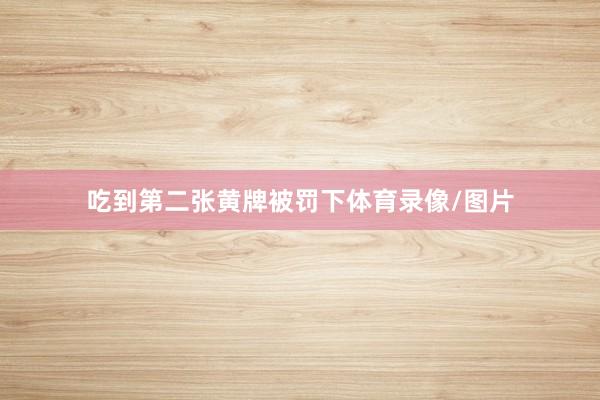 吃到第二张黄牌被罚下体育录像/图片