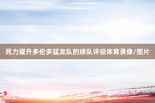 死力擢升多伦多猛龙队的球队评级体育录像/图片