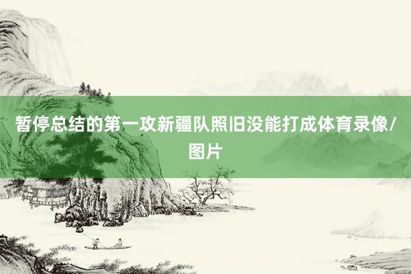 暂停总结的第一攻新疆队照旧没能打成体育录像/图片