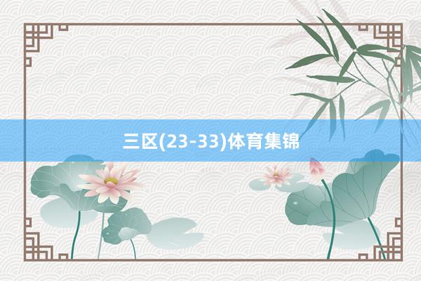 三区(23-33)体育集锦