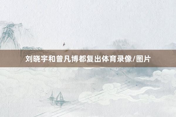 刘晓宇和曾凡博都复出体育录像/图片