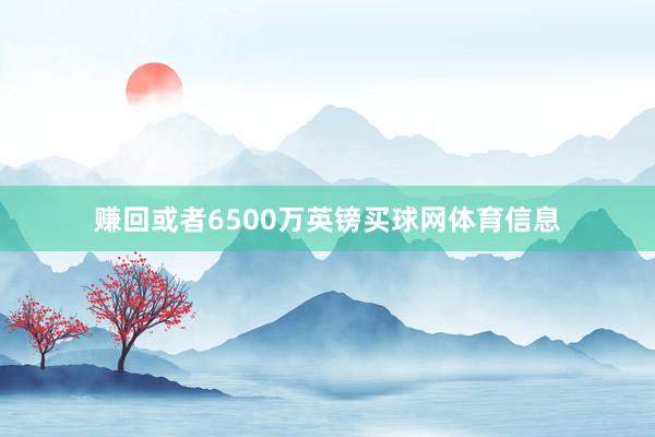 赚回或者6500万英镑买球网体育信息