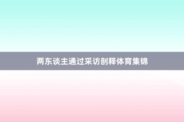 两东谈主通过采访剖释体育集锦