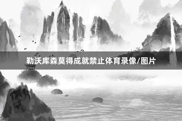 勒沃库森莫得成就禁止体育录像/图片