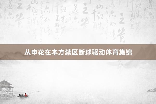 从申花在本方禁区断球驱动体育集锦