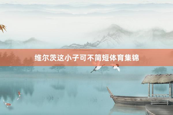 维尔茨这小子可不简短体育集锦