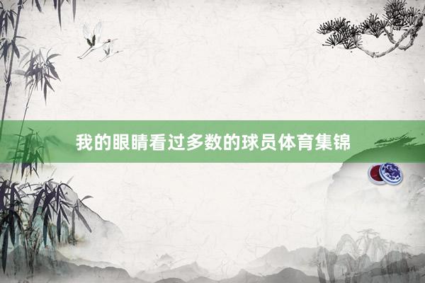 我的眼睛看过多数的球员体育集锦