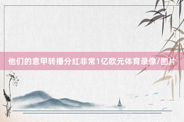他们的意甲转播分红非常1亿欧元体育录像/图片