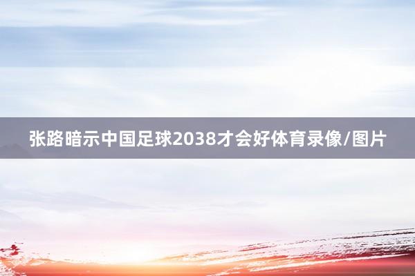 张路暗示中国足球2038才会好体育录像/图片