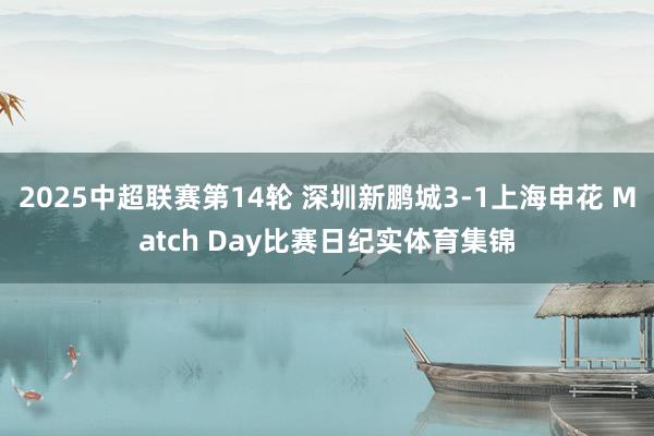 2025中超联赛第14轮 深圳新鹏城3-1上海申花 Match Day比赛日纪实体育集锦
