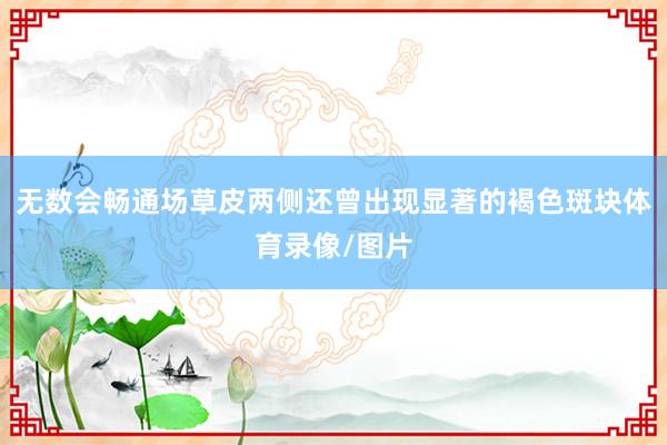 无数会畅通场草皮两侧还曾出现显著的褐色斑块体育录像/图片