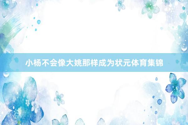 小杨不会像大姚那样成为状元体育集锦