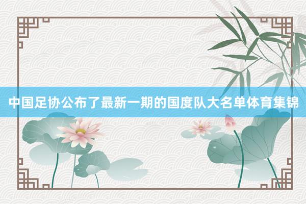 中国足协公布了最新一期的国度队大名单体育集锦
