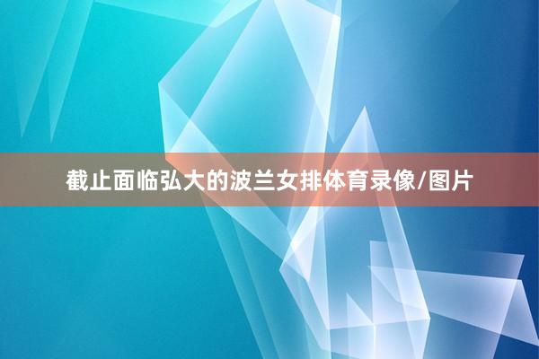 截止面临弘大的波兰女排体育录像/图片