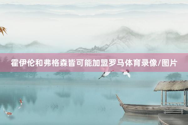 霍伊伦和弗格森皆可能加盟罗马体育录像/图片
