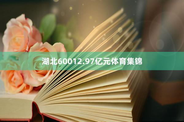湖北60012.97亿元体育集锦