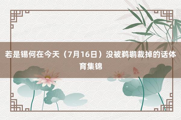 若是锡何在今天（7月16日）没被鹈鹕裁掉的话体育集锦