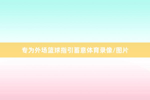专为外场篮球指引蓄意体育录像/图片
