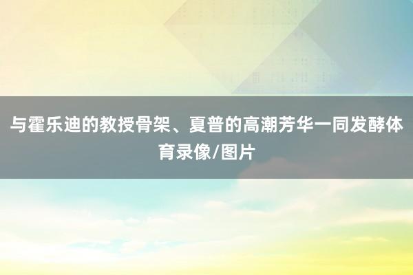 与霍乐迪的教授骨架、夏普的高潮芳华一同发酵体育录像/图片