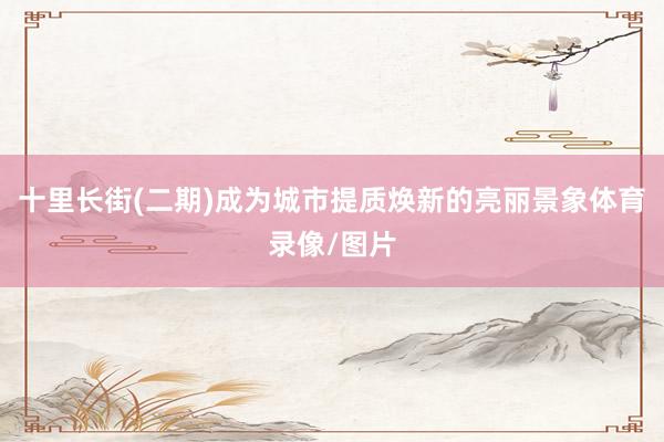 十里长街(二期)成为城市提质焕新的亮丽景象体育录像/图片