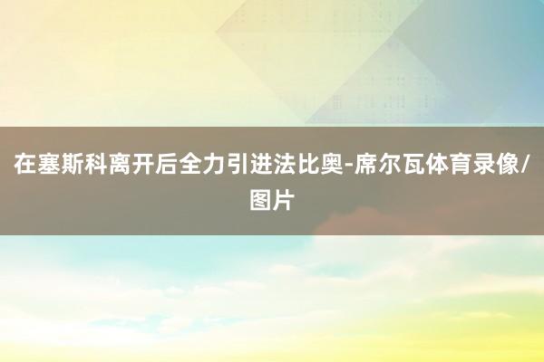 在塞斯科离开后全力引进法比奥-席尔瓦体育录像/图片