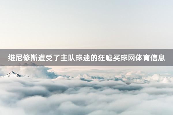 维尼修斯遭受了主队球迷的狂嘘买球网体育信息
