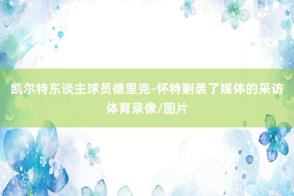 凯尔特东谈主球员德里克-怀特剿袭了媒体的采访体育录像/图片