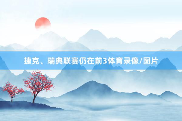 捷克、瑞典联赛仍在前3体育录像/图片