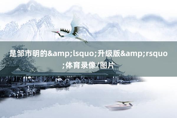 是邹市明的&lsquo;升级版&rsquo;体育录像/图片