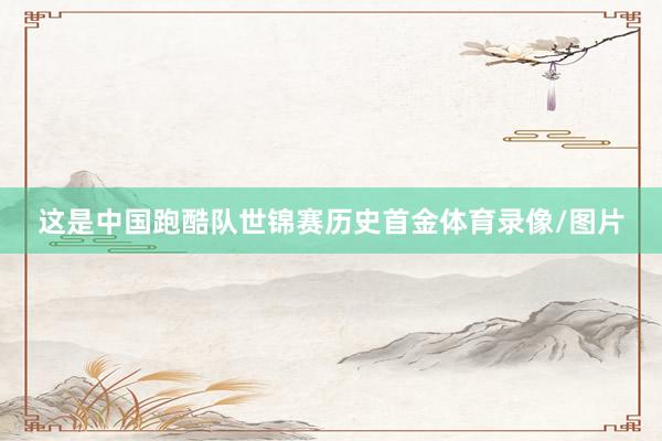 这是中国跑酷队世锦赛历史首金体育录像/图片