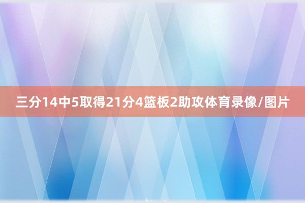 三分14中5取得21分4篮板2助攻体育录像/图片