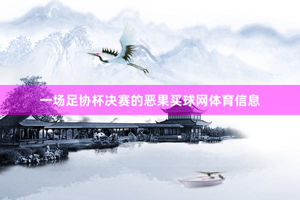 一场足协杯决赛的恶果买球网体育信息