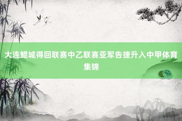 大连鲲城得回联赛中乙联赛亚军告捷升入中甲体育集锦