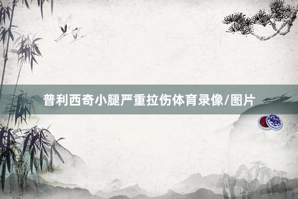 普利西奇小腿严重拉伤体育录像/图片