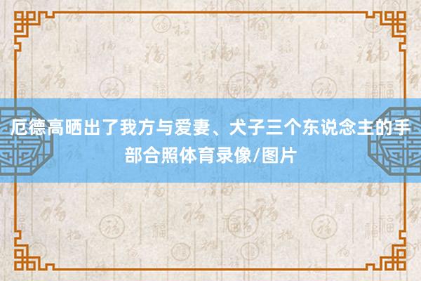 厄德高晒出了我方与爱妻、犬子三个东说念主的手部合照体育录像/图片