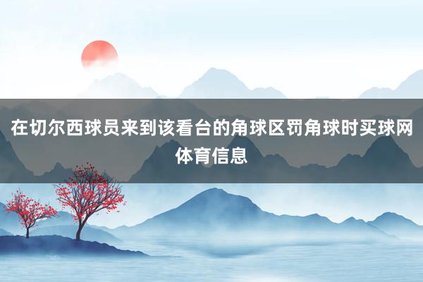 在切尔西球员来到该看台的角球区罚角球时买球网体育信息
