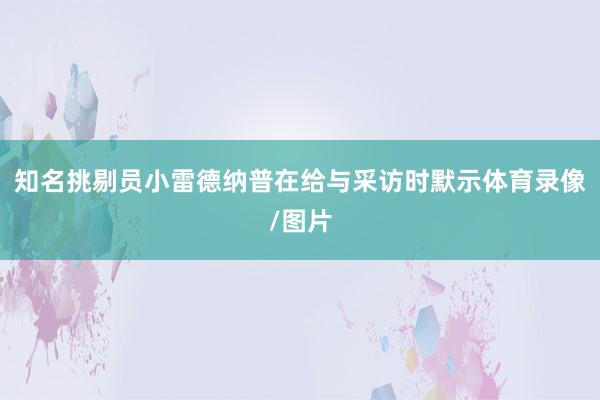 知名挑剔员小雷德纳普在给与采访时默示体育录像/图片