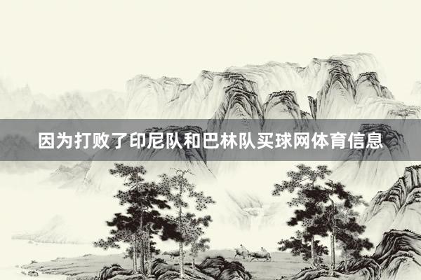因为打败了印尼队和巴林队买球网体育信息