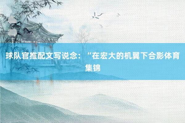 球队官推配文写说念：“在宏大的机翼下合影体育集锦