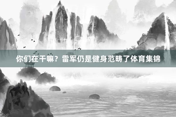 你们在干嘛？雷军仍是健身范畴了体育集锦