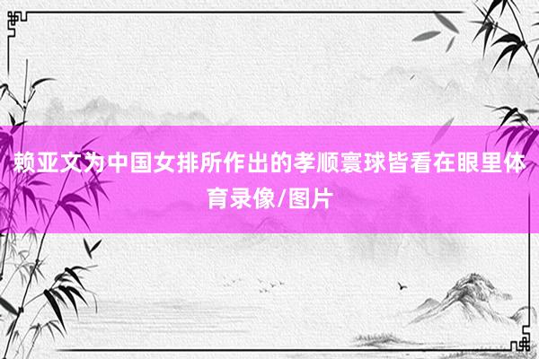 赖亚文为中国女排所作出的孝顺寰球皆看在眼里体育录像/图片