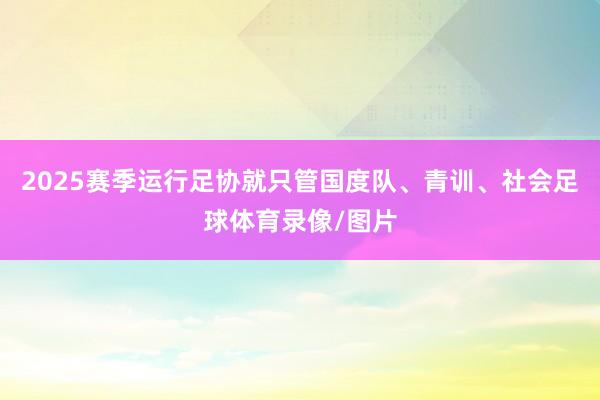 2025赛季运行足协就只管国度队、青训、社会足球体育录像/图片