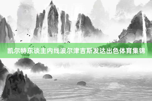 凯尔特东谈主内线波尔津吉斯发达出色体育集锦