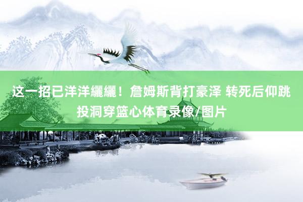 这一招已洋洋纚纚！詹姆斯背打豪泽 转死后仰跳投洞穿篮心体育录像/图片
